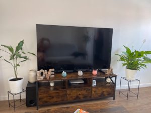 TV Komoda LTV301B01 photo review