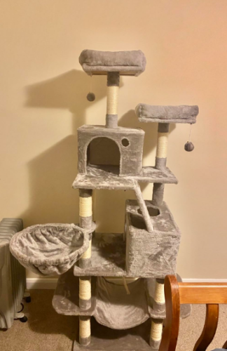 Grebalice za mačke photo review