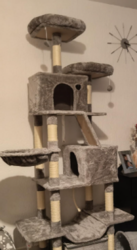 Grebalice za mačke photo review