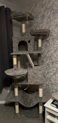 Grebalice za mačke photo review