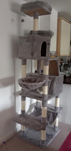 Grebalice za mačke photo review