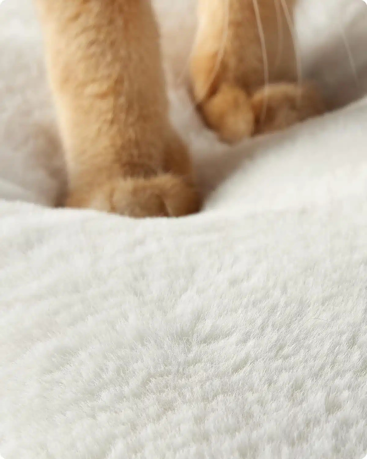 Grebalica za mačke - Slika 7